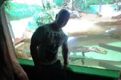 Dinho-no-Aquário-de-SP-36