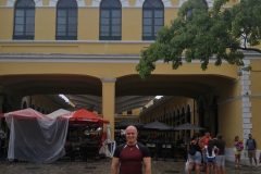 Dinho-no-Centro-de-Florianópolis-19