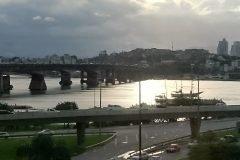 Dinho-no-Centro-de-Florianópolis-22