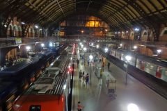 Dinho-na-Estação-da-Luz-04