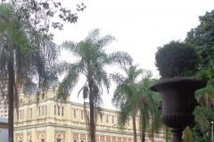 Dinho-na-Estação-da-Luz-09