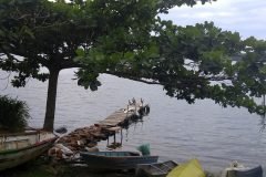 Dinho-na-Lagoa-da-Conceição-20