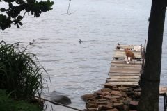 Dinho-na-Lagoa-da-Conceição-21