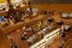 Dinho-na-Livraria-Cultura-06