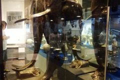 Dinho-no-Memorial-das-Conquistas-16