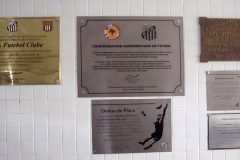 Dinho-no-Memorial-das-Conquistas-30