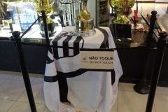 Dinho-no-Memorial-das-Conquistas-39