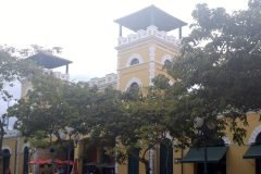 Dinho-no-Mercado-Público-de-Florianópolis-12