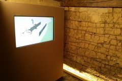 Dinho-no-Museu-de-Arte-Sacra-100