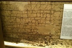 Dinho-no-Museu-de-Arte-Sacra-56