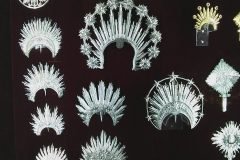 Dinho-no-Museu-de-Arte-Sacra-69