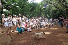 Dinho-no-Parque-Buenos-Aires-08