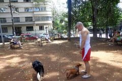 Dinho-no-Parque-Buenos-Aires-20
