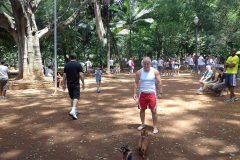 Dinho-no-Parque-Buenos-Aires-24