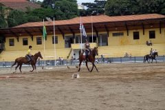Dinho-no-Parque-da-Água-Branca-03
