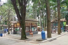 Dinho-no-Parque-da-Água-Branca-06