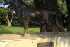 Dinho-no-Ibirapuera-02