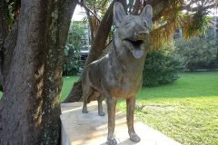 Dinho-no-Ibirapuera-03