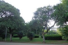 Dinho-no-Ibirapuera-05